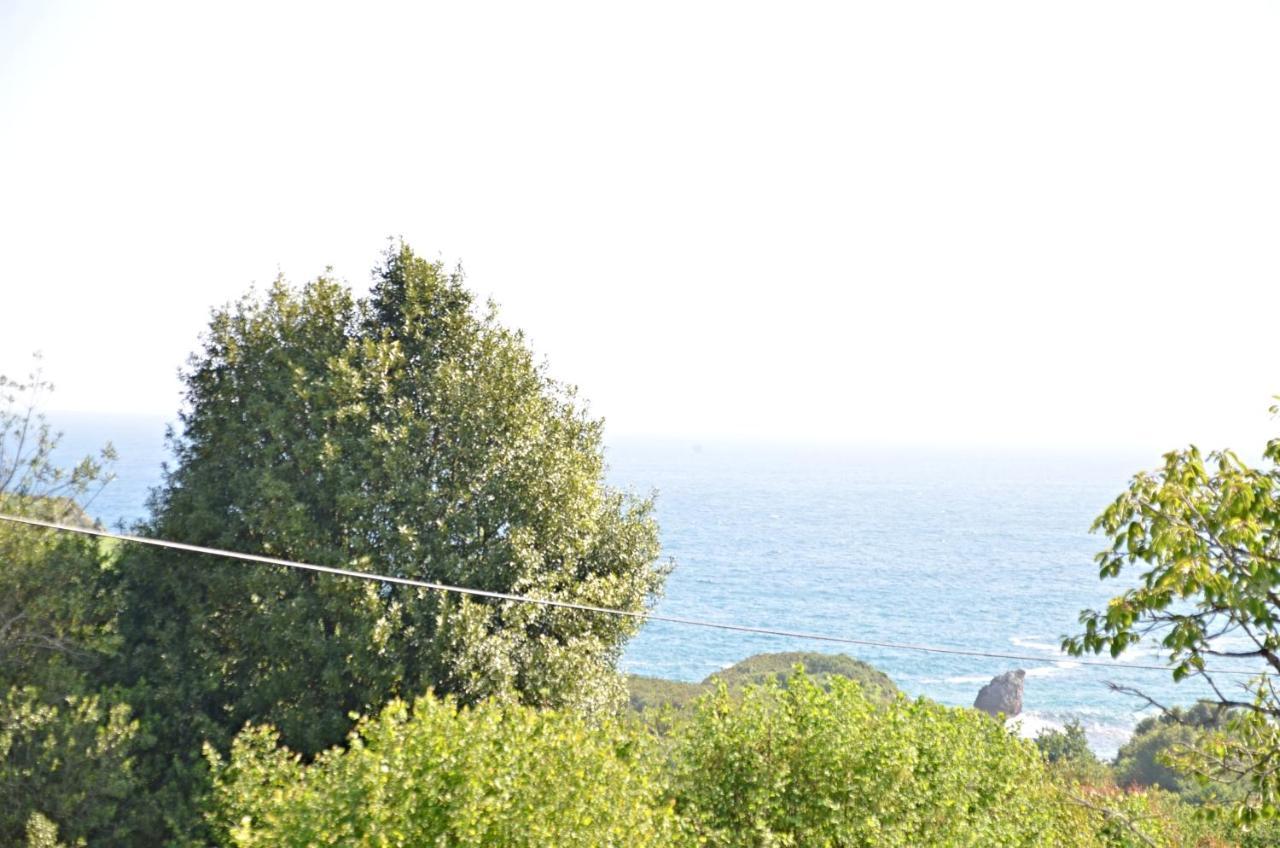 Villa La Atalaya Llanes Bagian luar foto